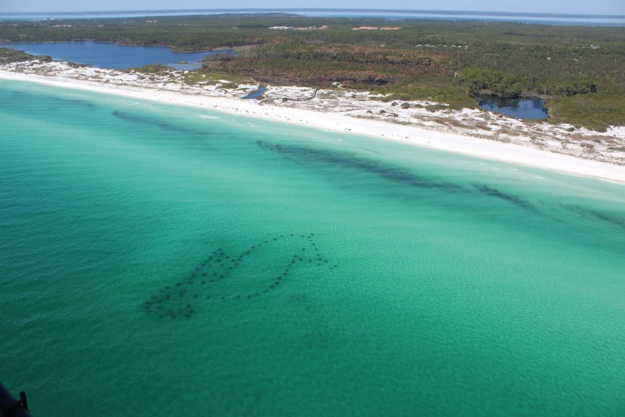 Grayton Beach State Park