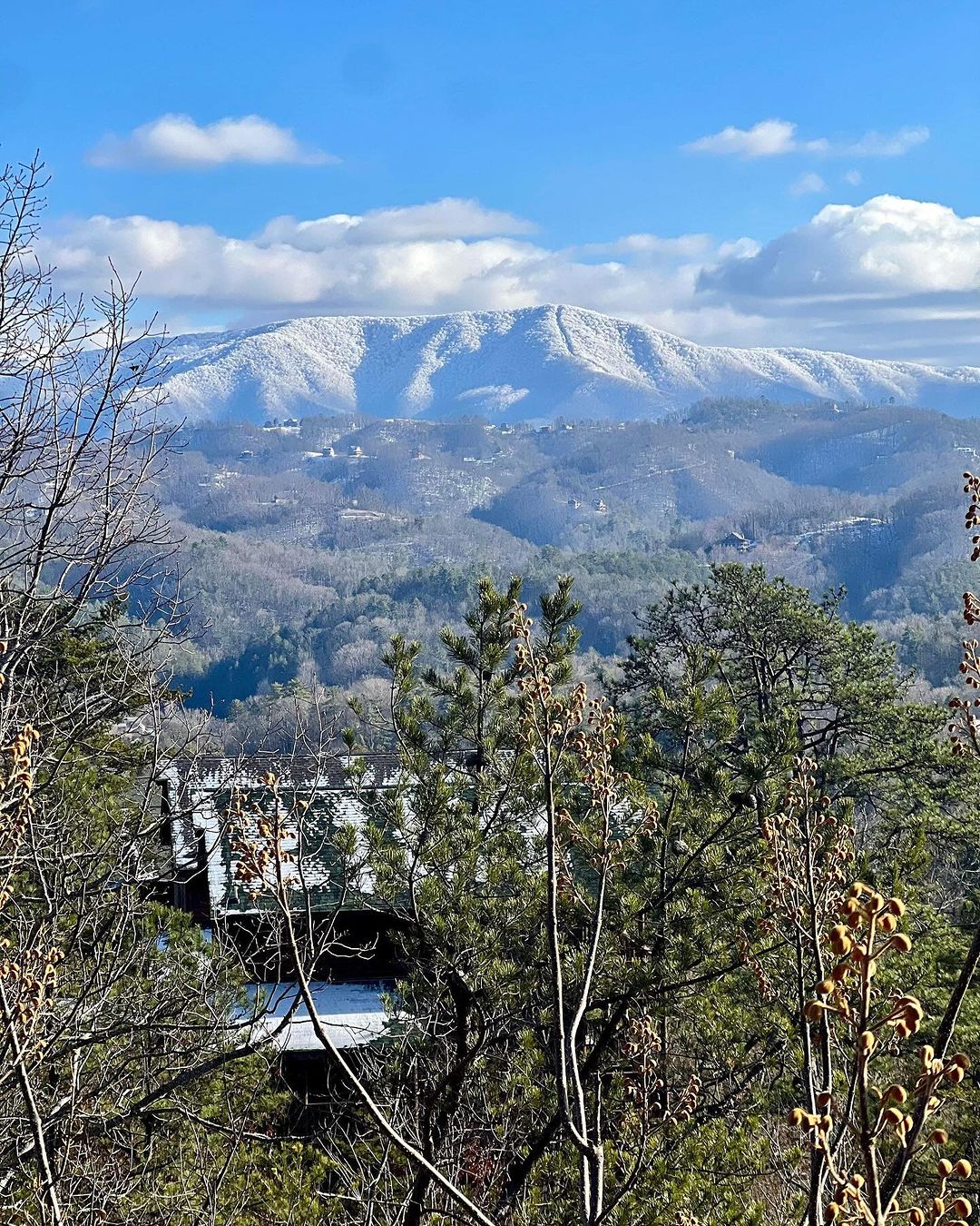 Unforgettable Summer Escapes: Family Fun in Sevierville, TN