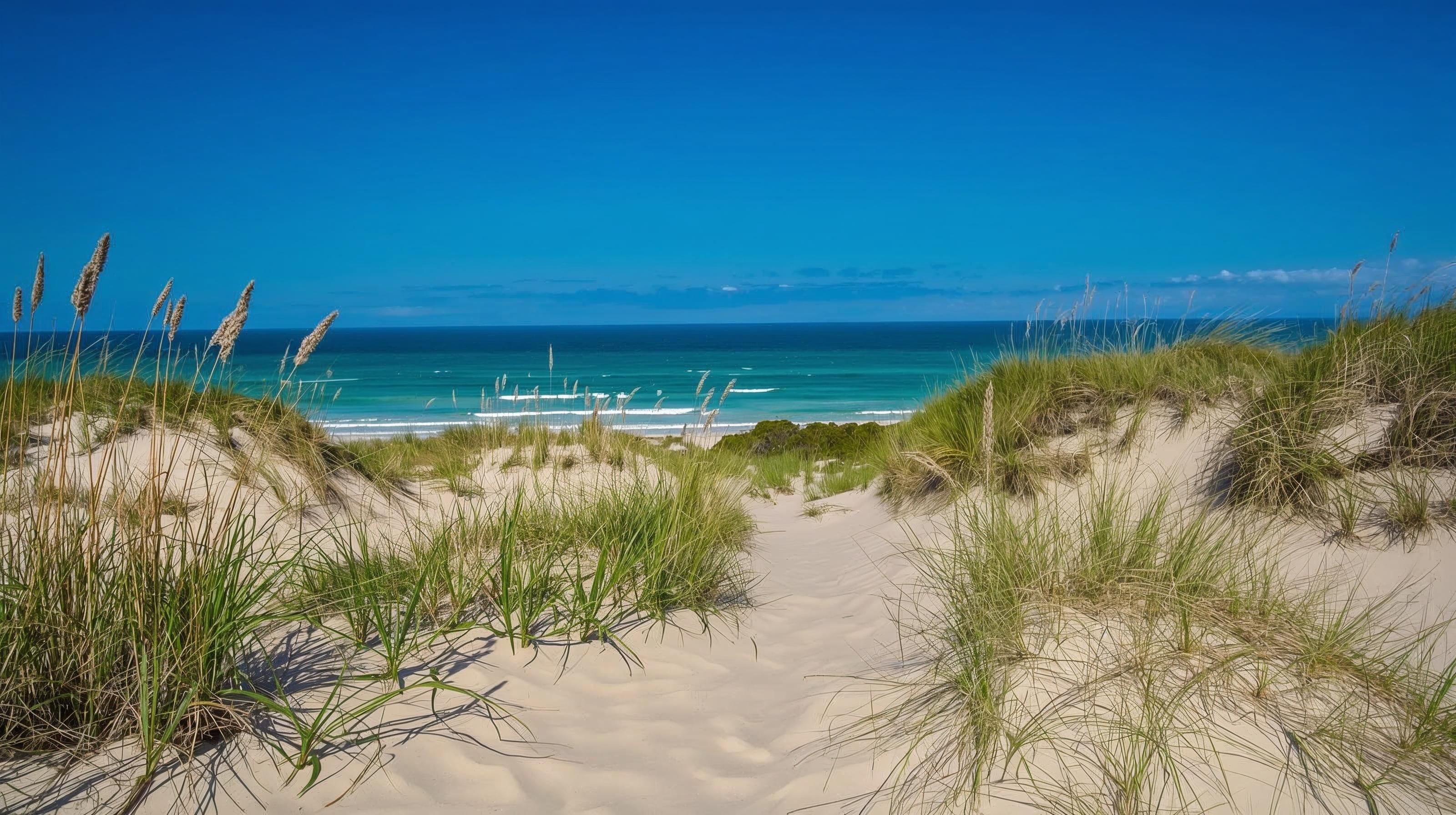 Parks and Nature Trails Near Miramar Beach, Florida: A Guide for Nature Lovers