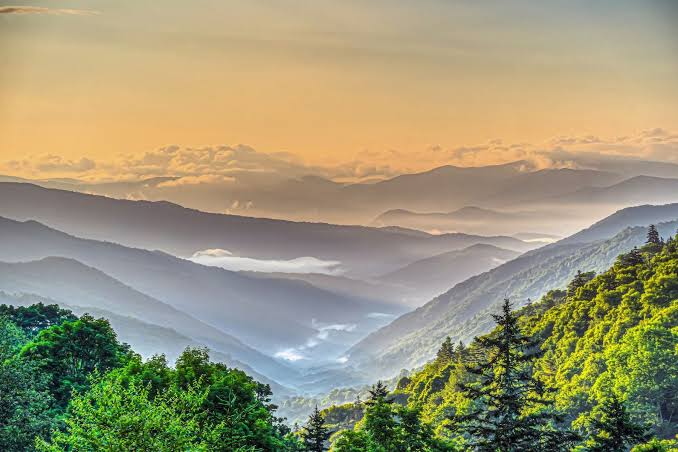 The Ultimate First-Time Visitor's Guide to Pigeon Forge: Everything You Need to Know Before You Go